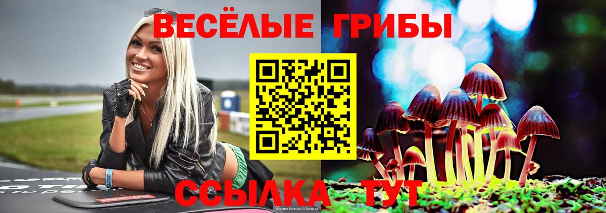 Галлюциногенные грибы Magic Shrooms  Вход с VPN  Баксан 